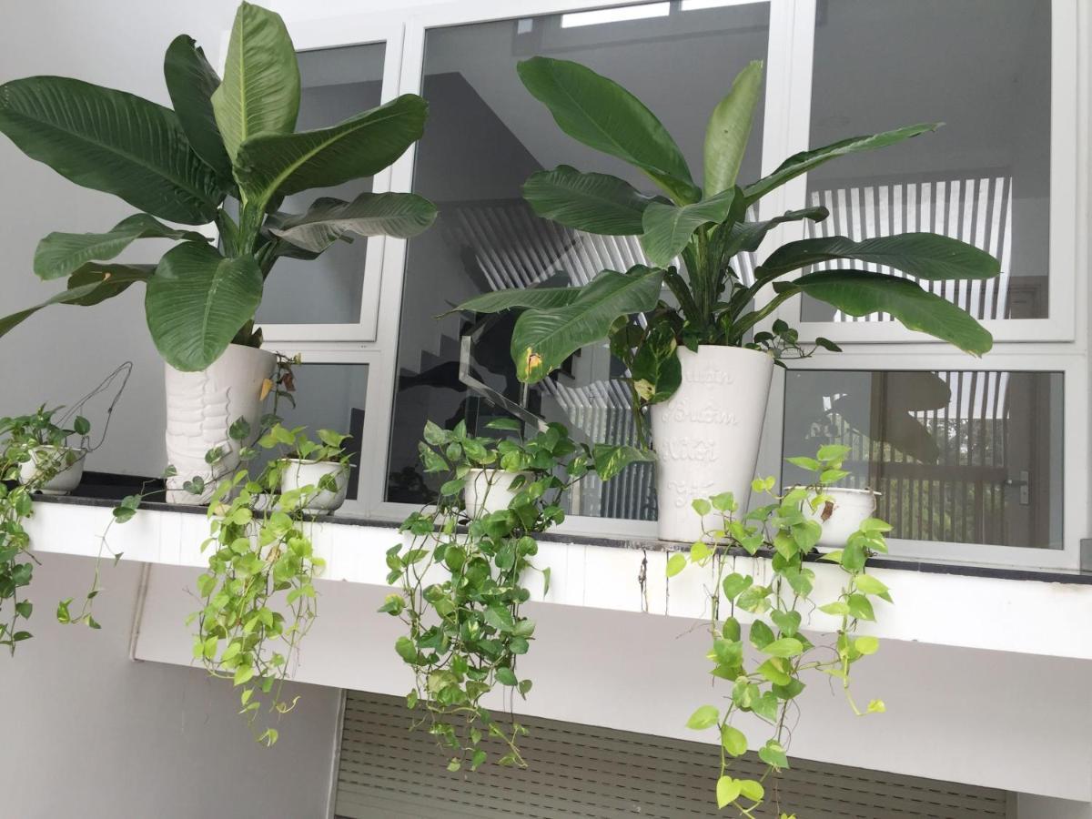 مدينة هوشي منه M-H5 Serviced Apartments المظهر الخارجي الصورة